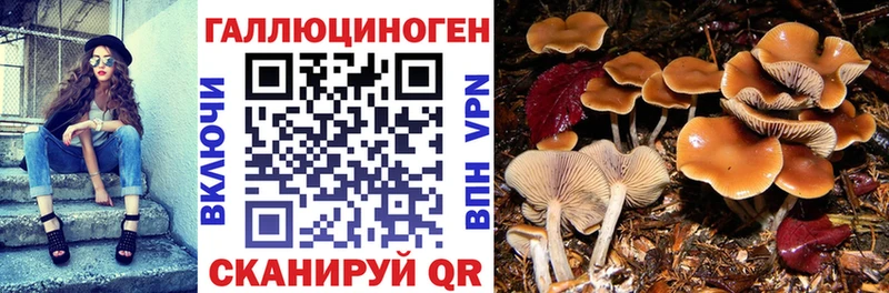 Псилоцибиновые грибы прущие грибы  купить закладку  Мамоново 